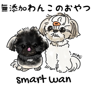 非公開: smart wan