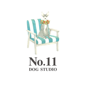 NO.11 DOGSTUDIO