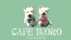 cafe ikoro&NaturelaDog