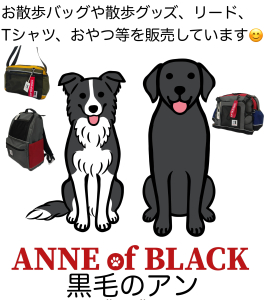 黒毛のアン