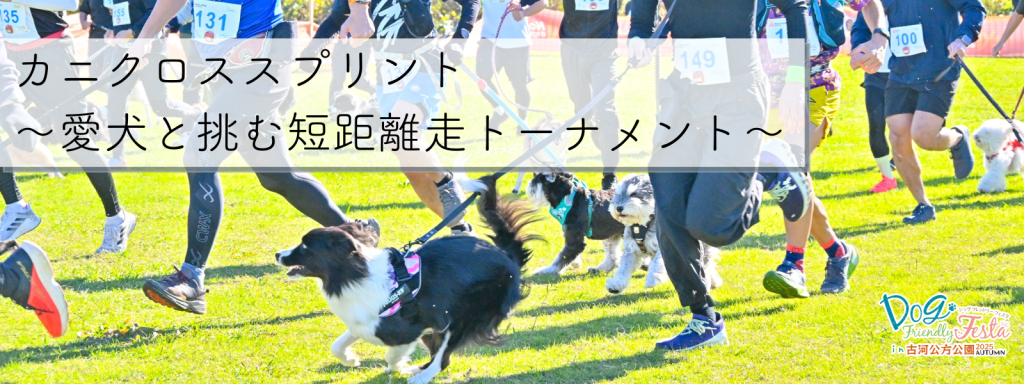 カニクロススプリント～愛犬と挑む短距離走トーナメント～