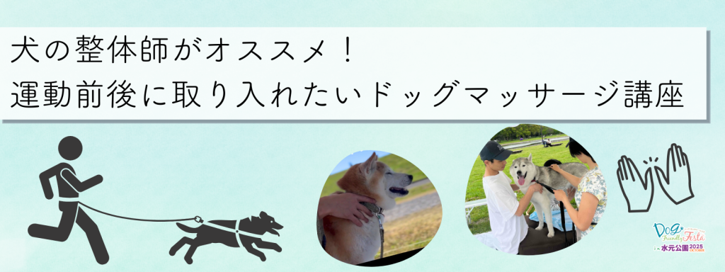 犬の整体師がオススメ！ 運動前後に取り入れたいドッグマッサージ講座