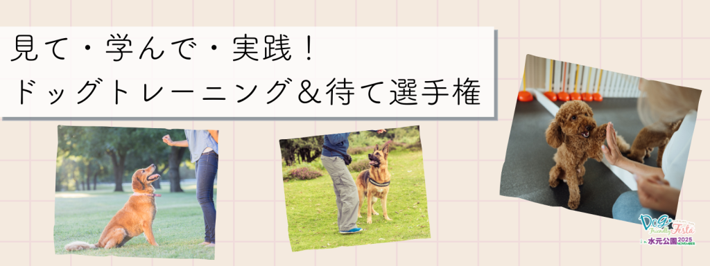 見て・学んで・実践！ドッグトレーニング＆待て選手権